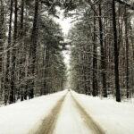 08.01.2026. Kielce. Zima / Fot. Jarosław Kubalski - Radio Kielce