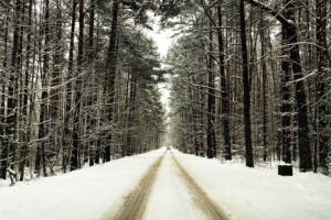 Trudna noc drogowców - Radio Kielce 08.01.2026. Kielce. Zima / Fot. Jarosław Kubalski - Radio Kielce