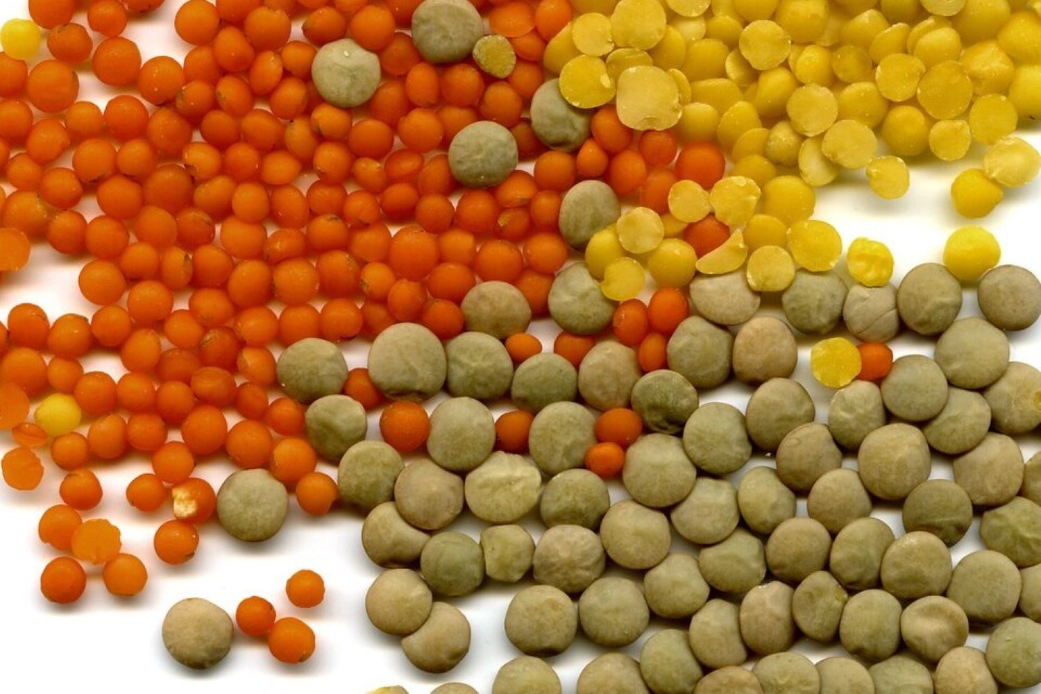 Dlaczego soczewica? Jest smaczna i zdrowa