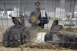 Króliki ujęły serca najmłodszych - Radio Kielce Króliki ujęły serca najmłodszych - Radio Kielce