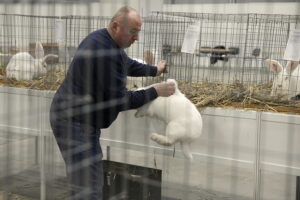 Króliki ujęły serca najmłodszych - Radio Kielce Króliki ujęły serca najmłodszych - Radio Kielce