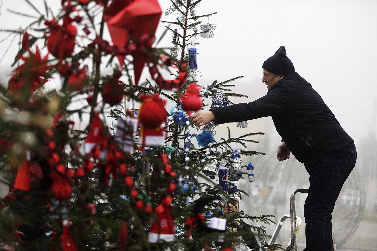 Rynek w Daleszycach zamienił się w świąteczny las choinek
