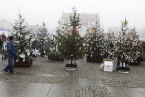 Rynek w Daleszycach zamienił się w świąteczny las choinek - Radio Kielce Rynek w Daleszycach zamienił się w świąteczny las choinek - Radio Kielce