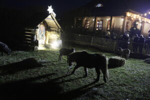 W Tokarni po raz pierwszy odbył się kiermasz bożonarodzeniowy - Radio Kielce