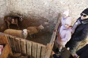 Kolędowanie w Brzezinach - Radio Kielce