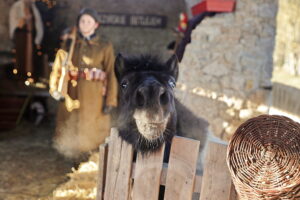Kolędowanie w Brzezinach - Radio Kielce