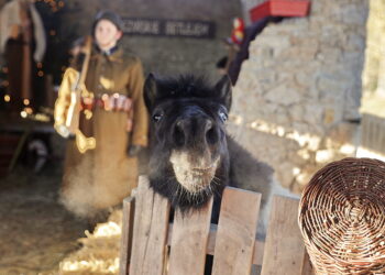 25.12.2025 Brzeziny. Kolędowanie / Fot. Jarosław Kubalski - Radio Kielce