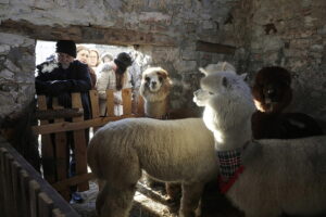 Kolędowanie w Brzezinach - Radio Kielce