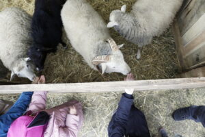 Żywa szopka w klasztorze przypomina o cudzie narodzin Mesjasza - Radio Kielce