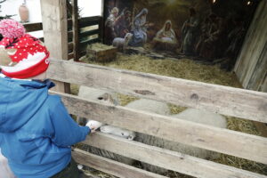 Żywa szopka w klasztorze przypomina o cudzie narodzin Mesjasza - Radio Kielce