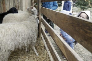 Żywa szopka w klasztorze przypomina o cudzie narodzin Mesjasza - Radio Kielce