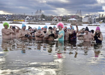 Nie straszny im mróz i śnieg. Morsy weszły do wody - Radio Kielce Nie straszny im mróz i śnieg. Morsy weszły do wody