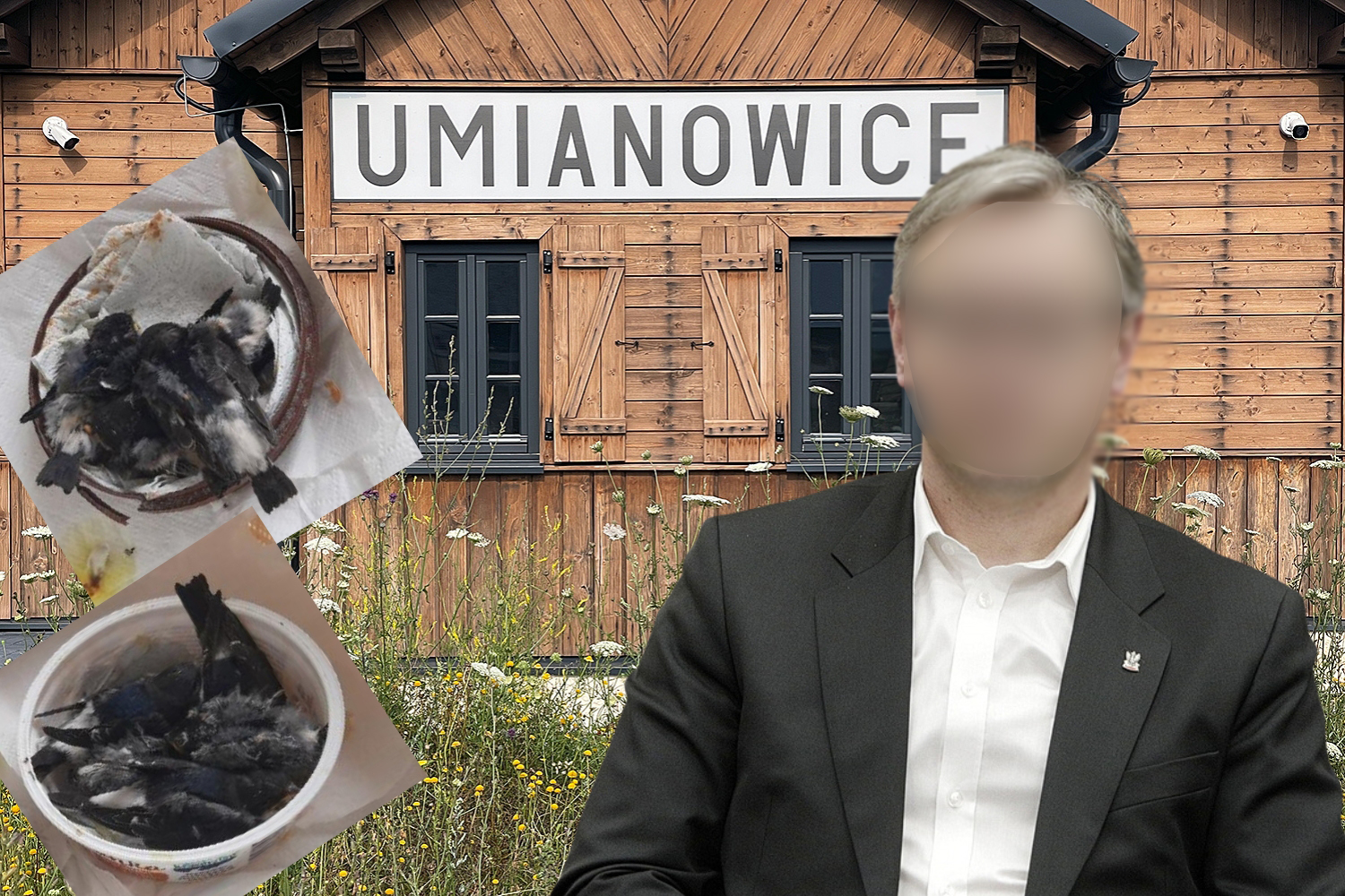 Są zarzuty w sprawie zabicia jaskółek. Także dla działacza PiS