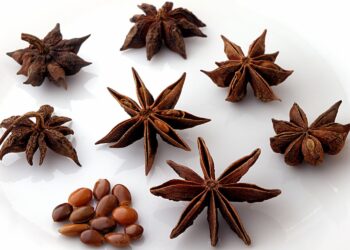 Anyż gwiaździsty – gwiazda wśród świątecznych przypraw - Radio Kielce Anyż gwiaździsty – gwiazda wśród świątecznych przypraw