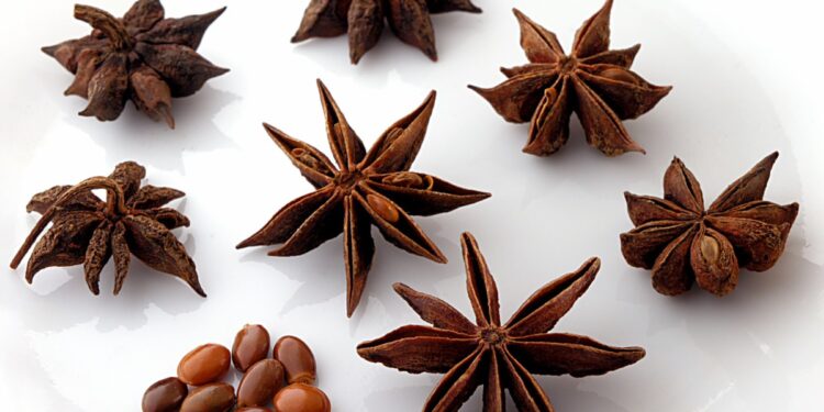 Anyż gwiaździsty – gwiazda wśród świątecznych przypraw - Radio Kielce Anyż gwiaździsty – gwiazda wśród świątecznych przypraw