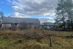 Ruiny owiane mgłą tajemnicy - Radio Kielce