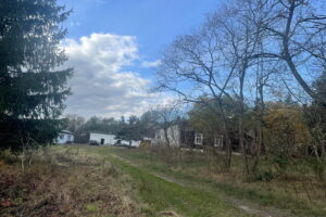 Ruiny owiane mgłą tajemnicy - Radio Kielce