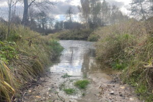 Ruiny owiane mgłą tajemnicy - Radio Kielce