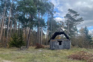 Ruiny owiane mgłą tajemnicy - Radio Kielce