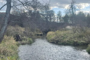 Ruiny owiane mgłą tajemnicy - Radio Kielce