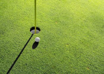 Czy w Bilczy powstanie pole golfowe?