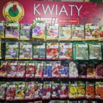 Małgorzata Lewicka / Fot. Marzena Smoręda - Radio Kielce