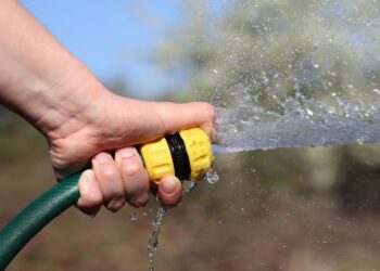 Uwaga! W zimie też trzeba podlewać ogrody