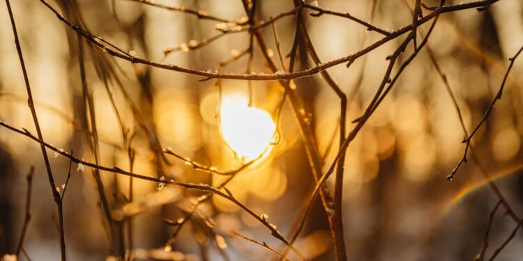 Tak ciepłego grudnia nie było od 74 lat - Radio Kielce Tak ciepłego grudnia nie było od 74 lat