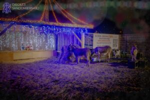 Ostrowiec Świętokrzyski. Żywa szopka przy Domu Ulgi w Cierpieniu / Fot. Akcja Katolicka Diecezji Sandomierskiej