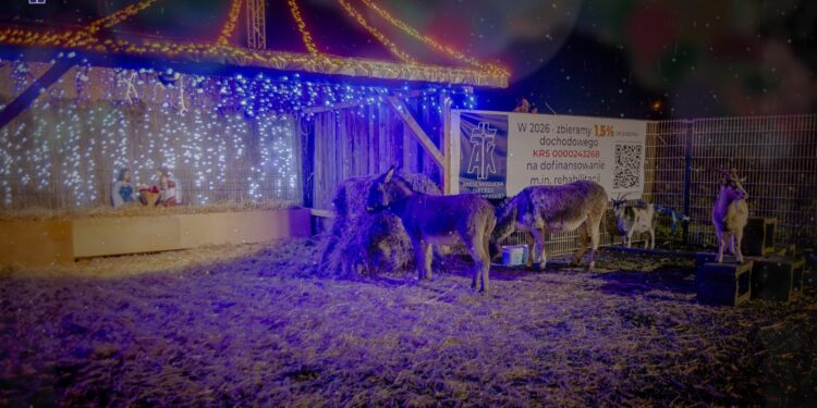 Ostrowiec Świętokrzyski. Żywa szopka przy Domu Ulgi w Cierpieniu / Fot. Akcja Katolicka Diecezji Sandomierskiej