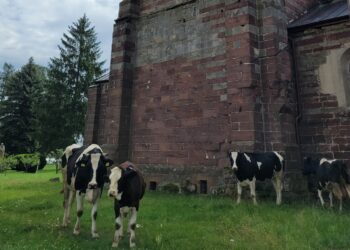 Wąchock / Fot. Opactwo Cysterskie Wąchock - Facebook