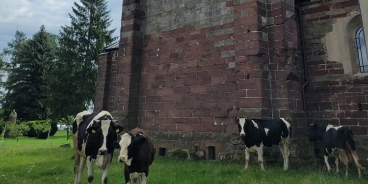 Wąchock / Fot. Opactwo Cysterskie Wąchock - Facebook