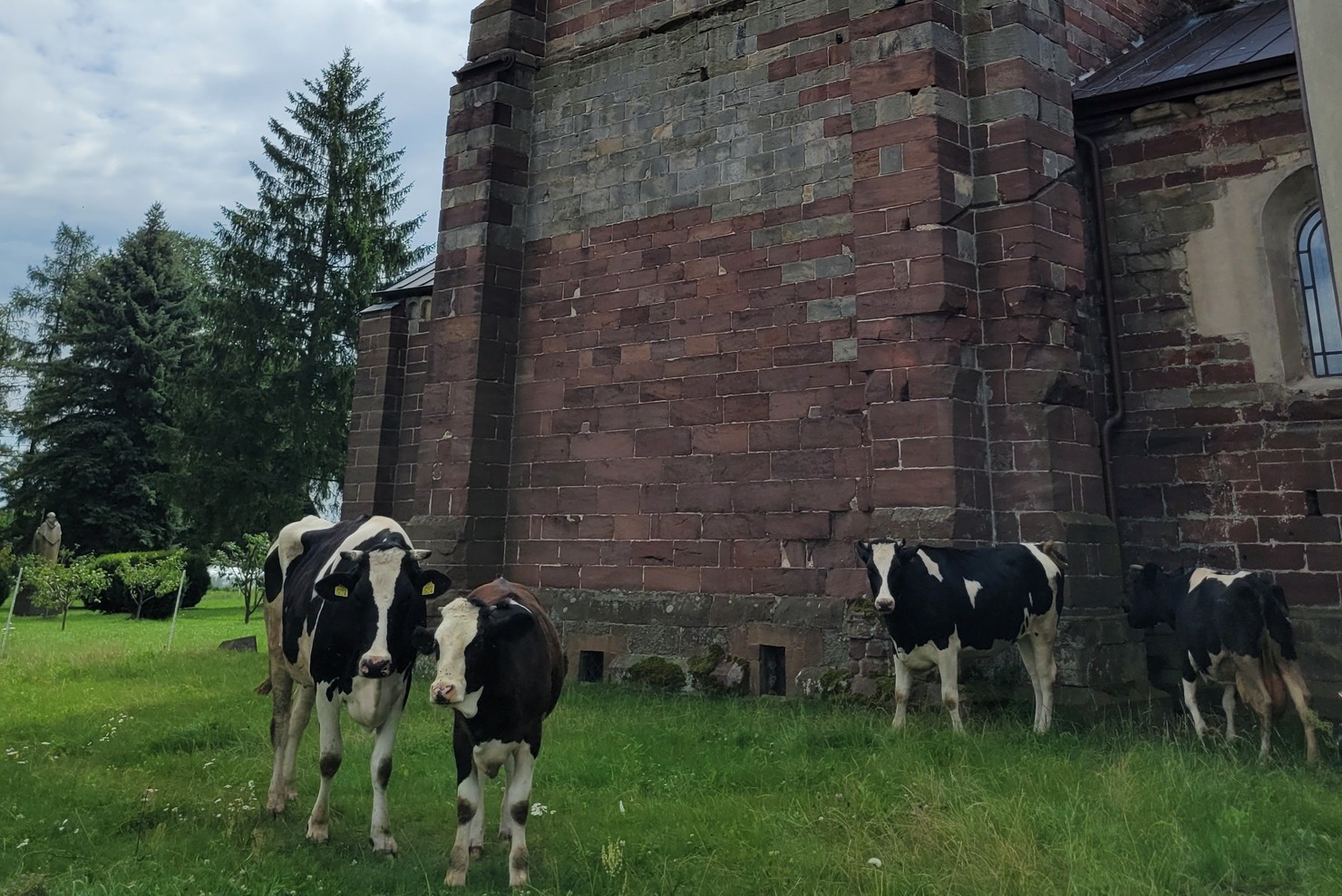 W opactwie cystersów w Wąchocku prowadzone jest gospodarstwo rolne