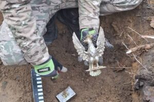 To wyjątkowe znalezisko - mówią eksploratorzy ze Starachowic - Radio Kielce Orzeł - znalezisko Grupy Ochrony Zabytków Fort ze Starachowic / Fot. Grupa Ochrony Zabytków Fort ze Starachowic - Facebook