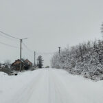 Skrzelczyce, gmina Pierzchnica. Ulica Góra / Fot. Karol Kieszkowski