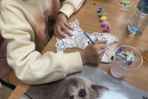 19.01.2026. Kielce. ZDZ. Ferie zimowe - zajęcia dla dzieci / Fot. Iwona Murawska-Bujnowicz - Radio Kielce