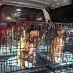 Fot. Policja Świętokrzyska