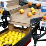 SORTER na targach TSW 2026 zaprezentuje MONO – kompaktową maszynę sortującą / Fot. Sorter_MONO_4929_