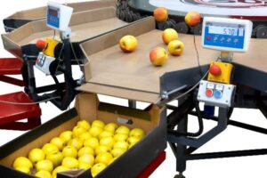 SORTER na targach TSW 2026 zaprezentuje MONO – kompaktową maszynę sortującą / Fot. Sorter_MONO_4929_