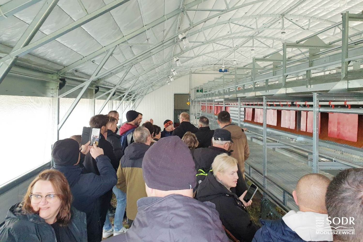 Kurniki mobilne do ekologicznego chowu kur