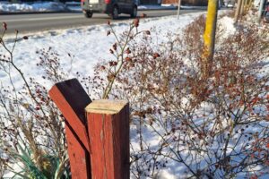 19.01.2026. Kielce. Ulica Sandomierska. Zniszczona kapliczka / Fot. Diecezja Kielecka