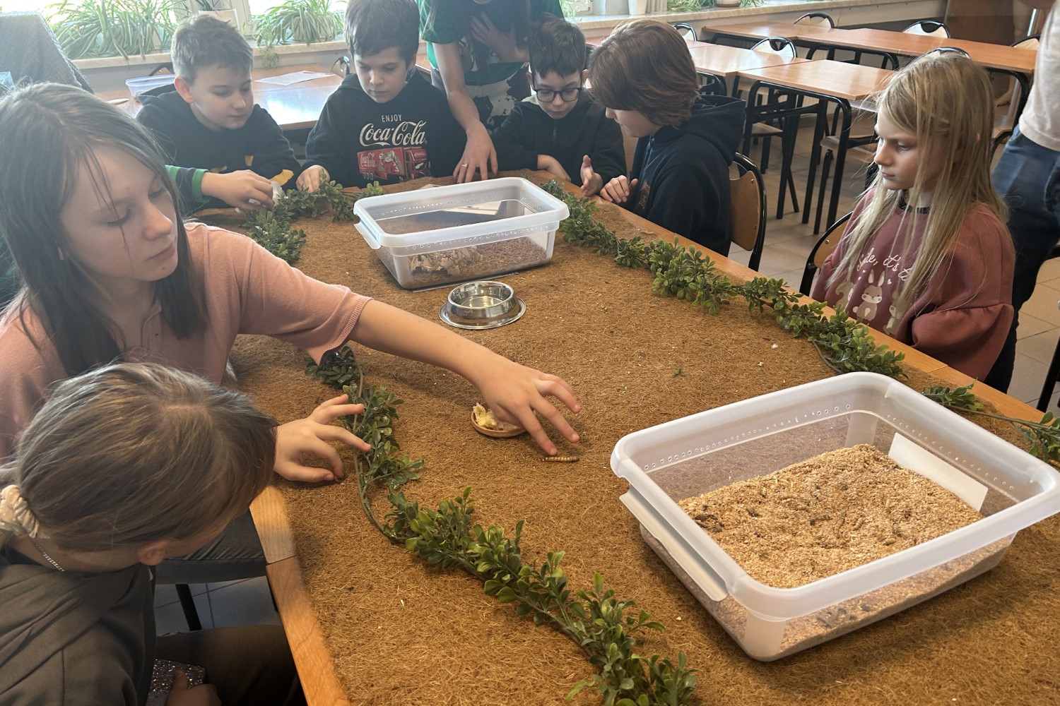 Sport, kuchnia i gady na feriach ZDZ