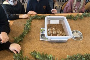 19.01.2026. Kielce. ZDZ. Ferie zimowe - zajęcia dla dzieci / Fot. Iwona Murawska-Bujnowicz - Radio Kielce