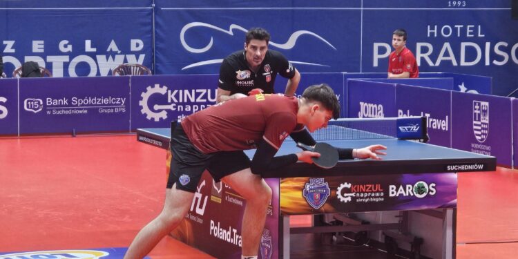 17.01.2026. Suchedniów. Mecz Ligi Mistrzów tenisistów stołowych Bank Spółdzielczy Orlicz 1924 Suchedniów - Orlen Bogoria Grodzisk Mazowiecki / Fot. Maciej Makuła - Radio Kielce