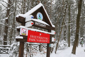 Na miotłach, ale też... bez ubrań wybrali się na Łysicę - Radio Kielce 11.01.2025. Święta Katarzyna. Zimowe wejście na Łysice / Fot. Wiktor Taszłow - Radio Kielce