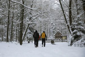 Na miotłach, ale też... bez ubrań wybrali się na Łysicę - Radio Kielce 11.01.2025. Święta Katarzyna. Zimowe wejście na Łysice / Fot. Wiktor Taszłow - Radio Kielce