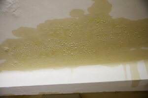 14.01.2026. Kielce. Zalany Zespół Szkół Katolickich / Fot. Wiktor Taszłow - Radio Kielce