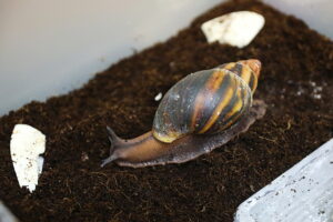 16.01.2026. Kielce. Instytut Biologii UJK w Kielcach. Noc Biologów / Fot. Wiktor Taszłow - Radio Kielce