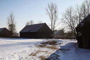 20.01.2026. Tokarnia. Muzeum Wsi Kieleckiej zimą / Fot. Wiktor Taszłow - Radio Kielce