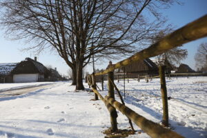 20.01.2026. Tokarnia. Muzeum Wsi Kieleckiej zimą / Fot. Wiktor Taszłow - Radio Kielce